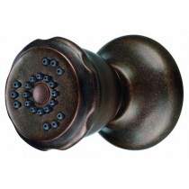 Danze D460165BR Two Function Wall Mount Body Spray, 1.5 GPM, Tumbled Bronze